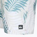 Quiksilver Wild Fern Volley 17" férfi úszónadrág 3