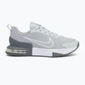Férfi edzőcipő Nike Air Max Alpha Trainer 6 cool grey/wolf grey/pure platinum/white 2