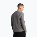 Férfi pulóver The North Face Kecha Crew smoked pearl/asphalt grey 3