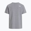 Férfi póló The North Face Evolution Half Dome tnf pale grey heather 5