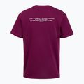 Férfi edző póló Under Armour Project Rock Terry Q3 purple 2