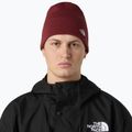 The North Face Norm Beanie téli sapka sumac 3
