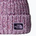 Férfi téli sapka The North Face Cozy Chunky Cabin lite lilac/peak purple 2