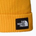 The North Face Salty Lined téli sapka 2