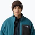 The North Face Salty Lined téli sapka 4