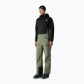 Férfi sí nadrág The North Face Summit Tsirku GTX Pro Bib Bark Mist/Black