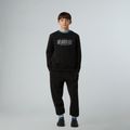 Férfi pulóver The North Face Reflective Logo Relaxed Crew fekete 2