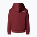 Gyerek pulóver The North Face Teen Drew Peak Pullover Hoodie sumac 2