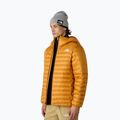 Férfi dzseki The North Face Terra Peak Hoodie citrin sárga