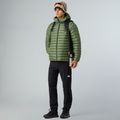 Férfi dzseki The North Face Terra Peak Hoodie bark mist 2