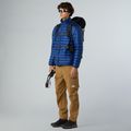 Férfi pehelykabát The North Face Terra Peak estate blue 2
