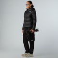 Női pehelypaplan The North Face Terra Peak Hoodie fekete 2