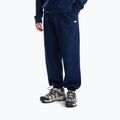 Férfi pulóver The North Face Evolution Simple Dome Regular Hoodie summit navy