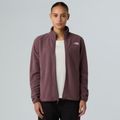Női fleece pulóver The North Face Glacier Fleece tawny quartz 4