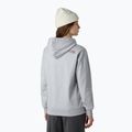 Női The North Face Drew Peak pulóveres kapucnis pulóver lightgreyheather/tawnyquartz 3