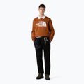 Férfi pulóver The North Face Easy Crew égett umbra színű pulóver 2