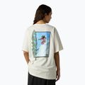 Férfi póló The North Face NSE Slopes Relaxed Tee Graphic White Dune 3