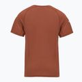 Férfi termoaktív póló Smartwool Merino Sport 120 burnt sienna 2