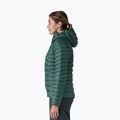 Női pehelydzseki Patagonia Down Sweater Hoody cascade green 4