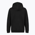 Férfi pulóver Patagonia '95 Oval Logo Uprisal Hoody Black: Kaleido 2