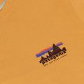 Férfi póló Patagonia '73 Skyline T-Shirt dried mango 3