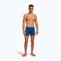 Férfi termikus boxeralsó jégtörő Anatomica Snow Day atlantis/topaz/aop 3