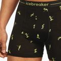 Férfi thermo boxeralsó jégtörő Anatomica Snow Day fekete/peridot/aop 5