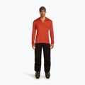 Férfi Icebreaker Merino 260 Quantum IV Zip Hoodie achate 2