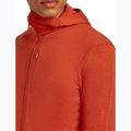 Férfi Icebreaker Merino 260 Quantum IV Zip Hoodie achate 8