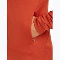 Férfi Icebreaker Merino 260 Quantum IV Zip Hoodie achate 9