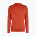 Férfi Icebreaker Merino 260 Quantum IV Zip Hoodie achate 10