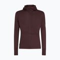 Férfi Icebreaker Merino 200 RealFleece Descender Zip Hoodie java trekking melegítőfelső 10