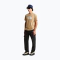 Férfi póló The North Face Evolution Half Dome khaki stone 2