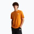 Férfi póló The North Face Evolution Box NSE dust orange