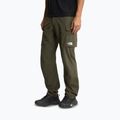 Férfi túranadrág The North Face Exploration Cargo taupe green