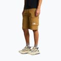 Férfi trekking rövidnadrág The North Face Exploration Cargo Shorts utility brown