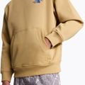 The North Face Mountain Celebration Relaxed Hoodie khaki stone pulóver 9