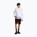 Férfi trekking rövidnadrág The North Face Box Nse Light Regular Shorts black 2