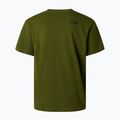 Férfi póló The North Face Mountain Logo Relaxed woodland green 6