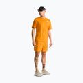 Férfi póló The North Face 24/7 Box Nse dust orange 2
