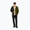 The North Face Quest Mono woodland green férfi softshell dzseki 2