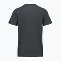 Férfi póló Smartwool Lunar Bear Active SS Graphic Tee charcoal heather 2