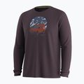 Férfi hosszú ujjú póló Smartwool First Chair Pursuit Active LS mink heather 3