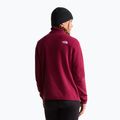 Női polár pulóver The North Face Glacier Fleece 1/4 Zip burgundy crush 3