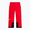 Férfi sínadrág The North Face Chakal elevation red 5
