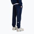 Férfi nadrág The North Face Evo Box Half Dome Regular Tappered summit navy 4