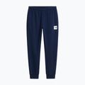 Férfi nadrág The North Face Evo Box Half Dome Regular Tappered summit navy 5