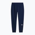 Férfi nadrág The North Face Evo Box Half Dome Regular Tappered summit navy 6
