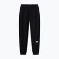 Férfi nadrág The North Face Evo Box Half Dome Regular Tappered tnf black 5