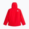 Férfi síkabát The North Face Descendit elevation red 6